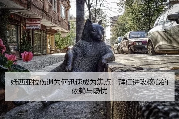 姆西亚拉伤退为何迅速成为焦点：拜仁进攻核心的依赖与隐忧